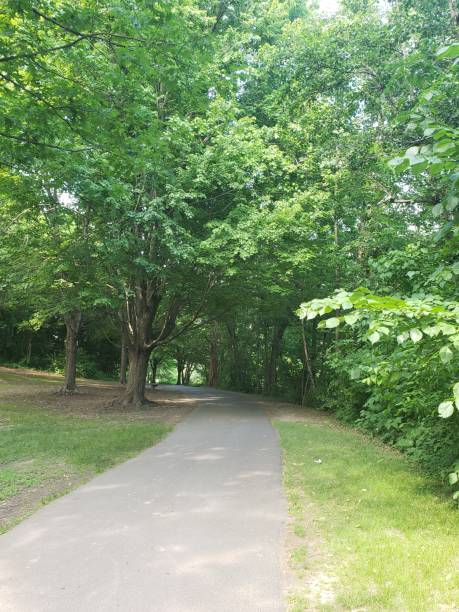 Park path with green trees Park path with green trees in bronxville bronxville photos stock pictures, royalty-free photos & images