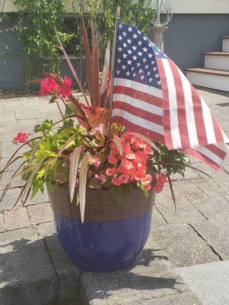 istock Flag and flowers on July 4th 1256213587