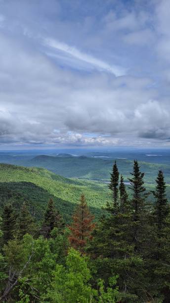 istock At the top of Mount Orford (photo9) 1256215676