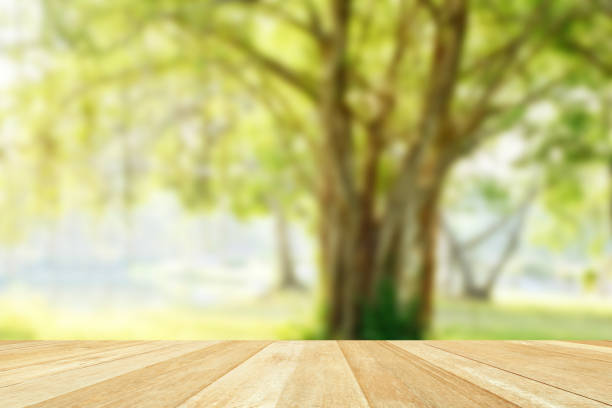 istock Empty top wooden table on green nature with tree blur style for background 1256216950