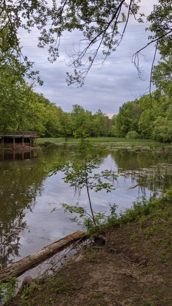 istock The banks of the Prairie River (photo5) 1256218936