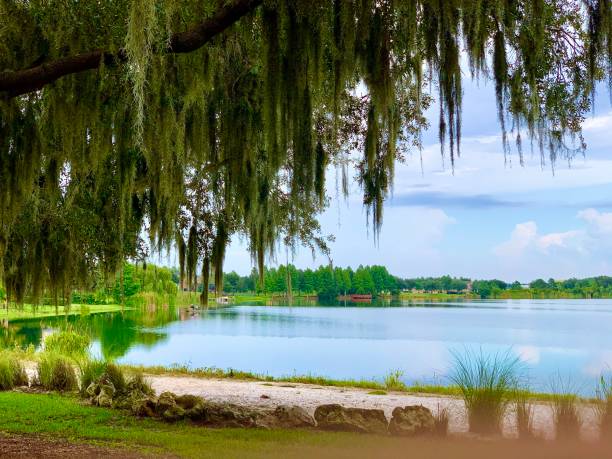 istock Sunny Day at the Lake 1256219775