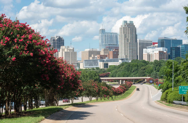 Raleigh NC skyline Downtown skyline of Raleigh, NC with crepe myrtle trees in bloom raleigh north carolina stock pictures, royalty-free photos & images