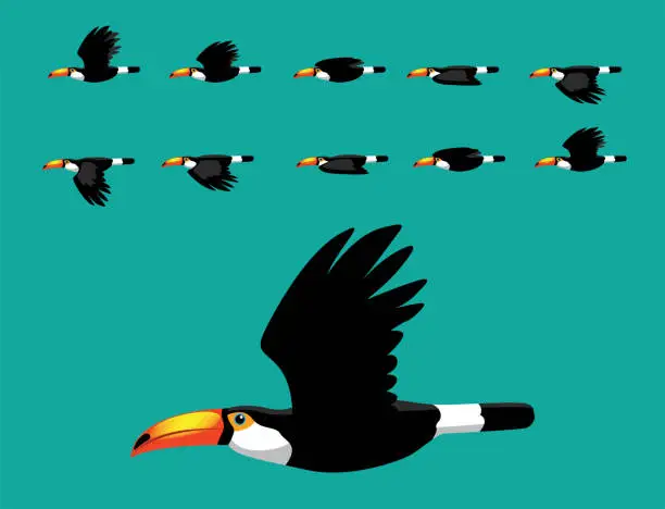 Vector illustration of Toco Toucan Flying Animation Cute Cartoon Vector Illustration