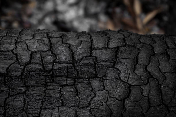 istock Details on the surface of charcoal. 1256229883