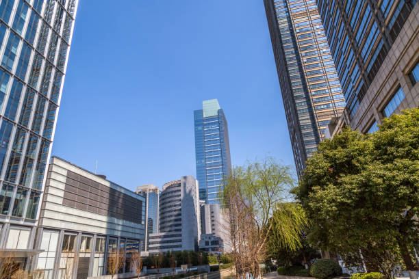 istock Modern office building against blue sky 1256235664