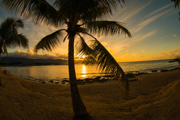 istock Beaautiful sunset from Northshore Hawaii 1256236508