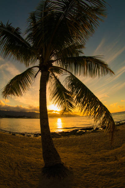 istock Beaautiful sunset from Northshore Hawaii 1256236513