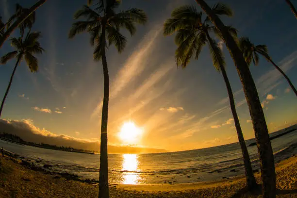 Beaautiful sunset from Northshore Hawaii