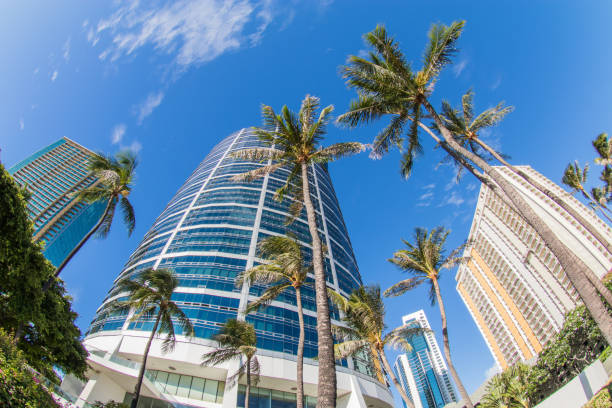 istock Walking around Ala Moana national park 1256238538
