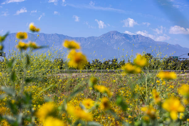 Ontario, California