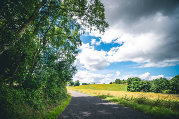 istock Countryside landscape with an asphalt road 1256245387