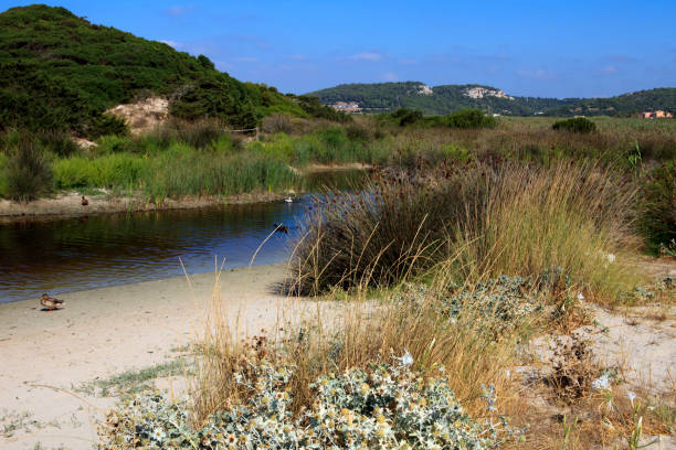 istock Menorca, Balearic Islands, Spain. 1256253384