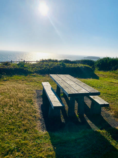 istock Picnic bench on the beach 1256254558