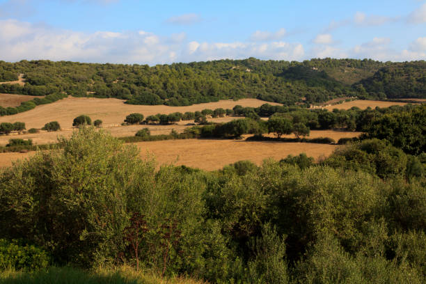 istock Menorca, Balearic Islands, Spain. 1256255115