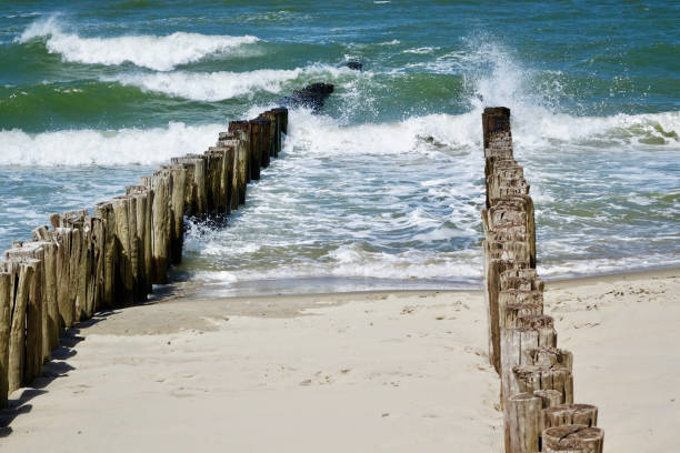 istock The beach in Domburg 1256255969