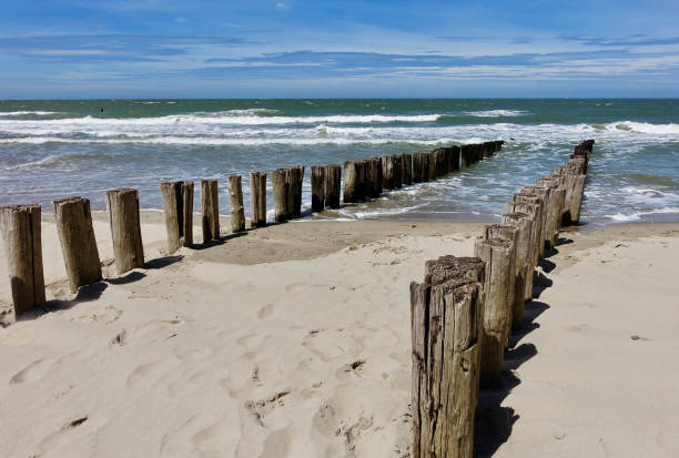 istock The beach in Domburg 1256256035