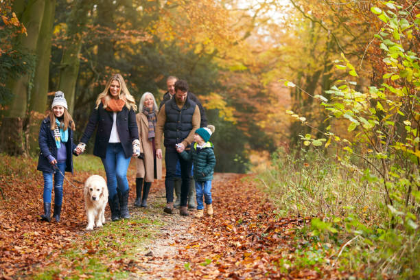 famiglia multi-generazione che cammina con cane golden retriever per animali domestici lungo il sentiero bosco autunnale - family grandmother multi generation family nature foto e immagini stock