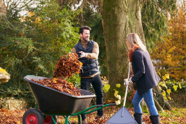 Couple Raking Autumn Leaves And Putting Into Wheelbarrow In Garden Couple Raking Autumn Leaves And Putting Into Wheelbarrow In Garden rake stock pictures, royalty-free photos & images