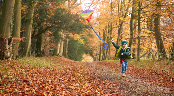 Young Boy Having Fun Running Along Path Through Autumn Woodland Flying Kite