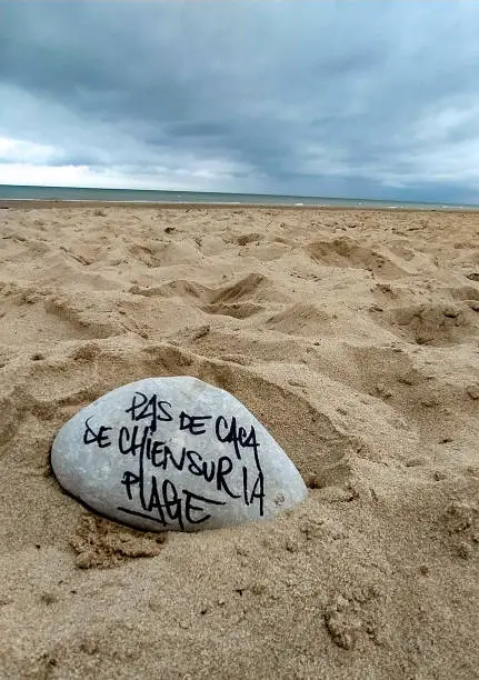 A stone on the beach, where it says "No dog poop on the beach" in France.  Beach in Normandy (Omaha Beach).