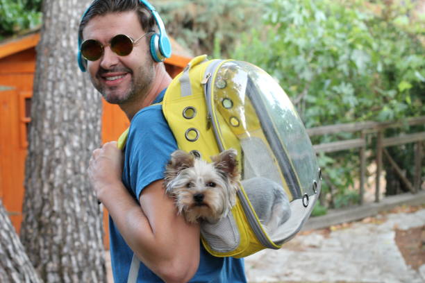 handsome man carrying dog in a backpack - baby animals audio imagens e fotografias de stock