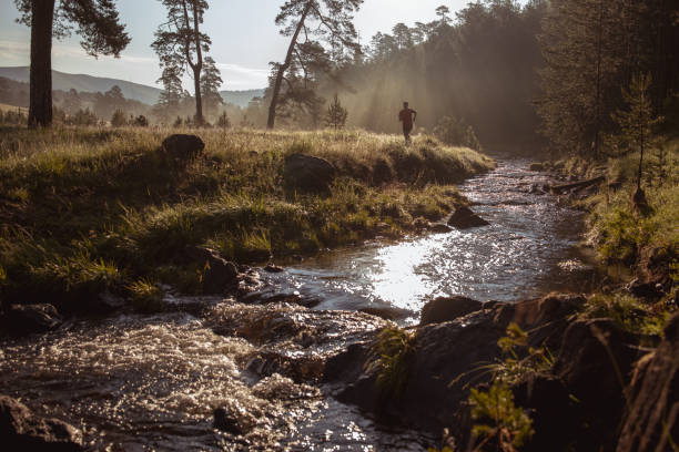 istock Morning jogging in a field 1256265362