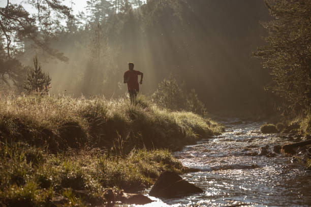 istock Morning jogging in a field 1256265365