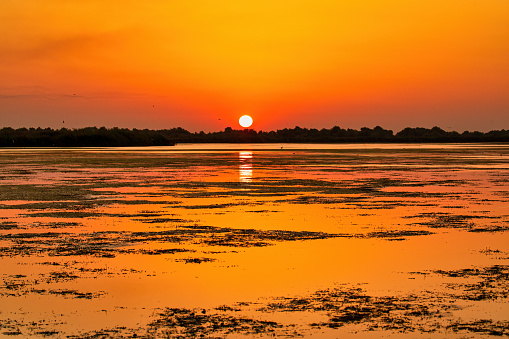 Beautiful Sunset landscape in Danube Delta Biosphere Reserve in Romania. Beautiful yellowish lights in water