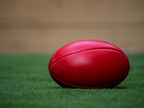 istock A Football in a Field 1256274093