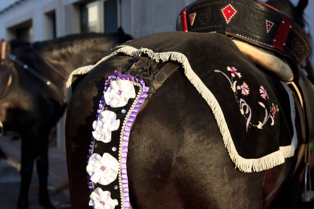 Sant Climent, Menorca / Spain - June 23, 2016: Horse decoration at ´Jaleo´ traditional festival in Sant Climent, Mao, Menorca, Balearic Islands, Spain