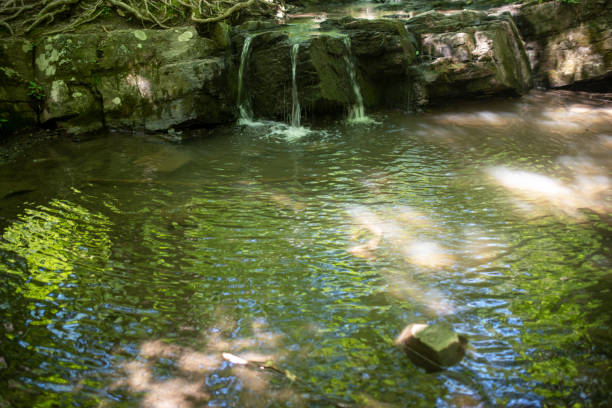 The rocky bottom of a mountain river against the backdrop of a small forest waterfall. jets of water flowing down from the boulders. wildlife concept
