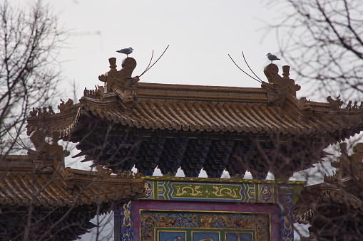 A shot taken of the chinatown arch, with seagulls on the tops of them.
