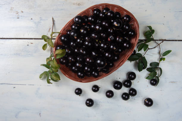 istock Jaboticaba or jabuticaba, very tasty Brazilian fruit. Top view. 1256280615