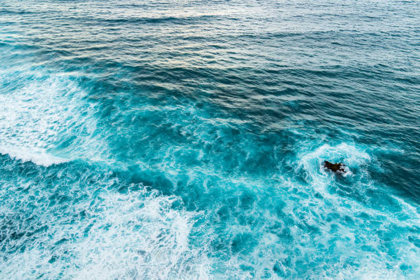 istock Big ocean waves hitting a coral reef. View from above. 1256281340