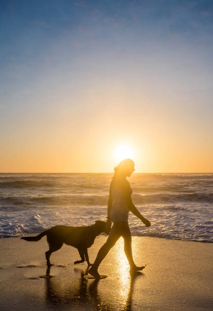 istock beautiful young woman strolling along the ocean 1256281918