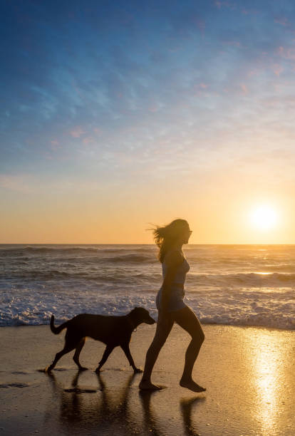 istock beautiful young woman strolling along the ocean 1256282244