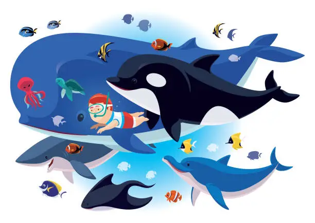 Vector illustration of kid swimming with sea creatures