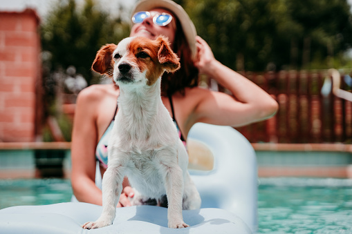 happy woman and dog in a pool having fun. sitting on inflatable. Summer time