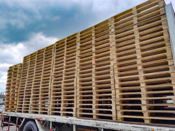 istock Worker driving forklift to loading and unloading wooden pallets from truck to warehouse cargo storage, shipment in logistics and transportation industrial, wood pallets stack 1256284351