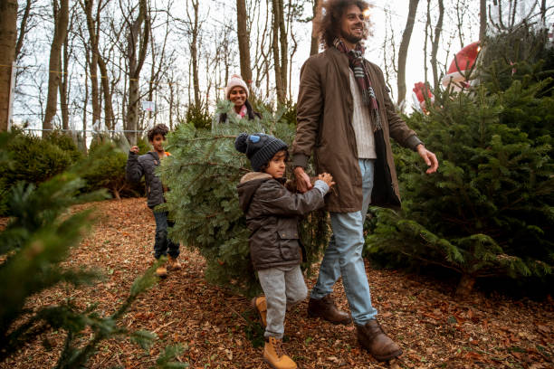 istock Our Chosen Christmas Tree 1256284371