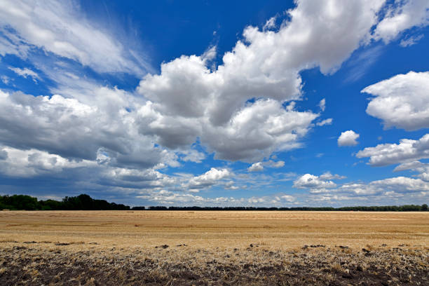 istock Picturesque rural landscapes. 1256286098