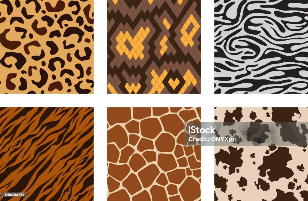 Animal Skins Pattern Of African Jungle Animals Leopard Tiger Zebra Giraffe  Vector Seamless Backgrounds Collection Stock Illustration - Download Image  Now - iStock
