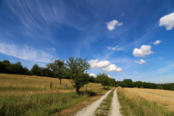 istock Landscape with fields, meadows and a dirt road 1256286404