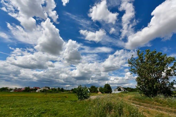 Road, grassland and sky with clouds