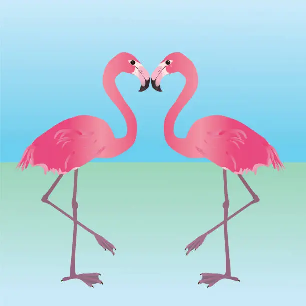 Vector illustration of Pink flamingos