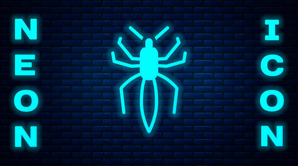 Glowing neon Spider icon isolated on brick wall background. Happy Halloween party. Vector Glowing neon Spider icon isolated on brick wall background. Happy Halloween party. Vector. blue tarantula stock illustrations