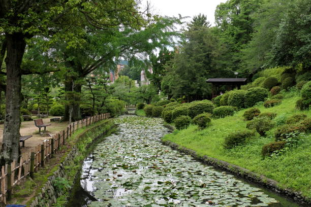istock A river in a park full of water lilies 1256288503