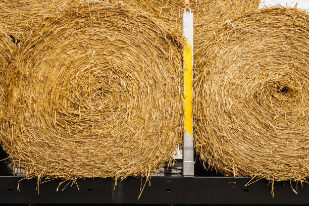 istock Bale of hay outdoors 1256288830