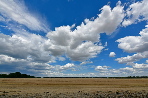 Picturesque rural landscapes, the village of Korolevka Ukraine.